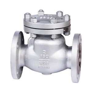 Check Valve CLASS 150/300/600